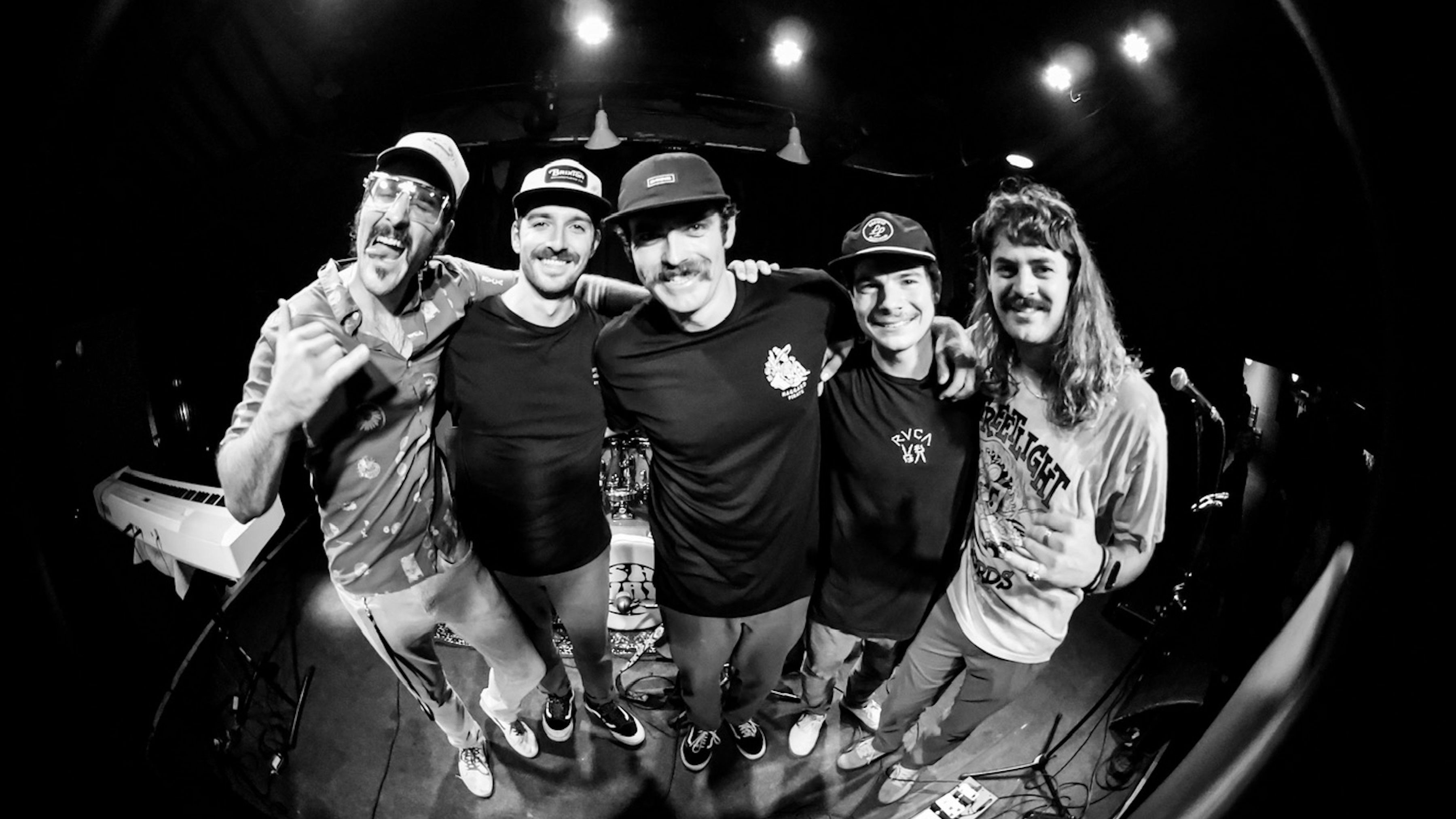 Twin Fin | West72 Entertainment